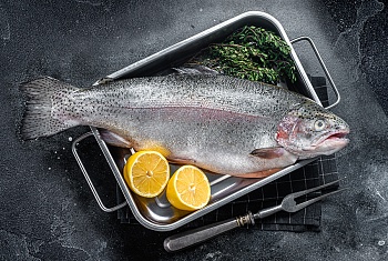 Форель радужная, целая, 0,8-1,2 кг